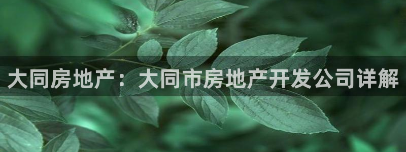 永利汇有什么服务