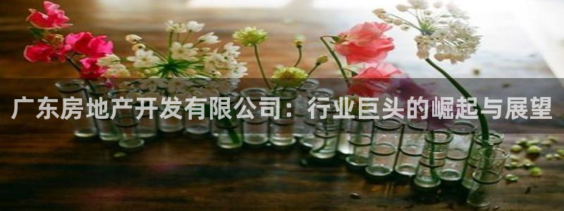 永利保险公司排名
