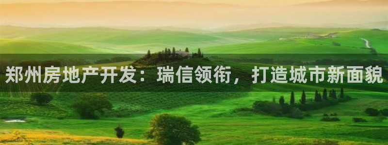 永利输的钱可以弄回来吗