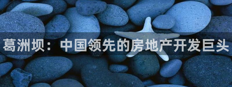 永利积分兑换