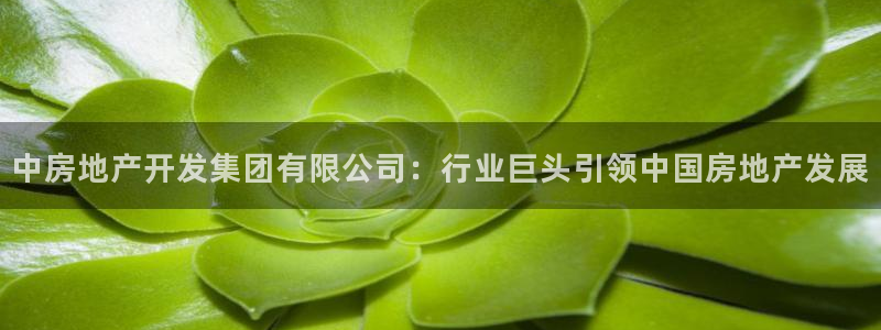 永利皮带报价查询