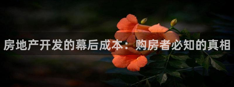 鄂尔多斯永利煤矿