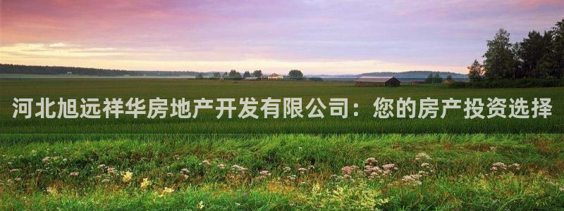 为什么永利网址打不开