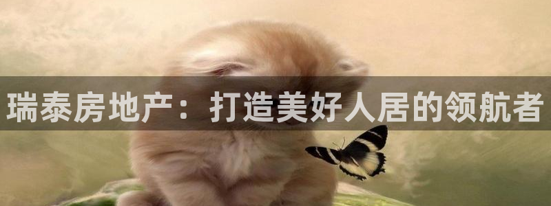 永利集团简介