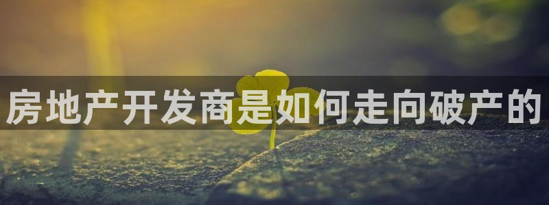 永利皮带官网价格查询表