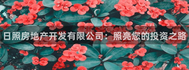 永利带业高管人员