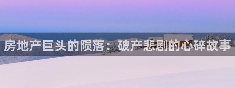 永利公司是做什么的