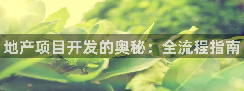 永利中国总裁