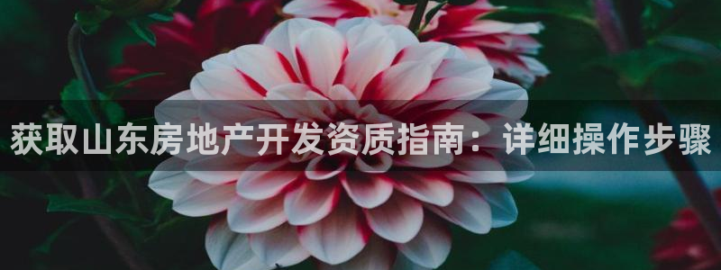 永利网输了几十万