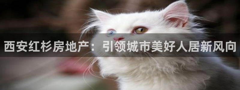 谁知道永利的网址是多少