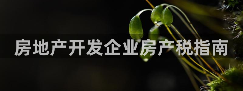 永利汇spa