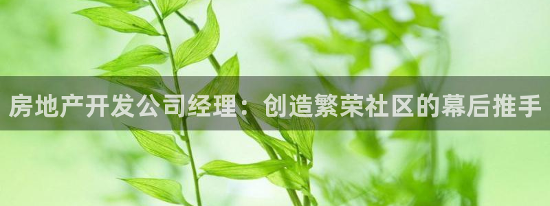 谁知道永利的网址