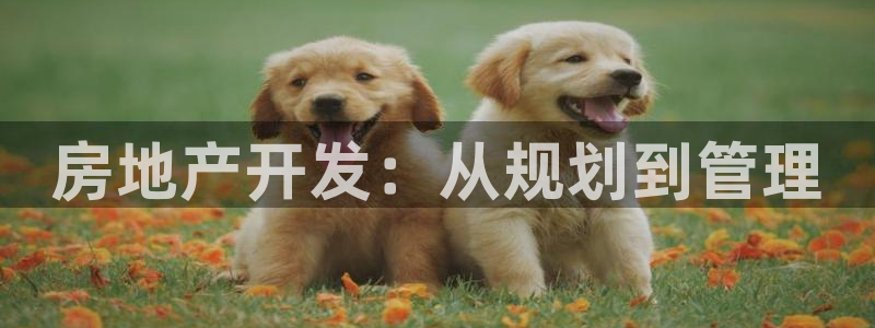 永利汽车零部件有限公司