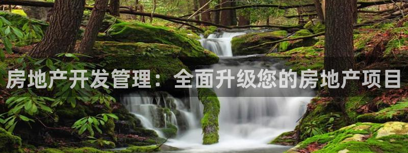 永利游乐城网址是什么
