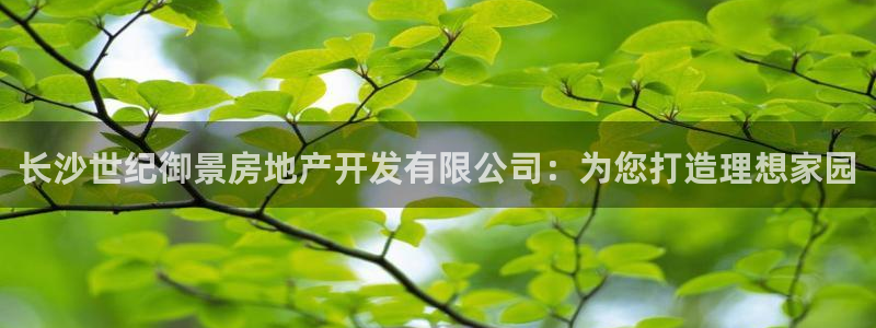 永利 老板