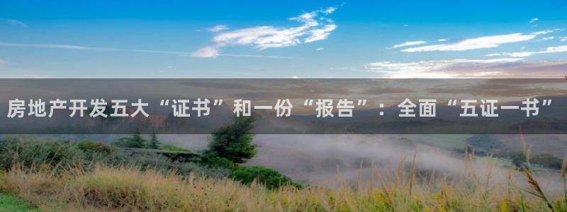 永利网会员
