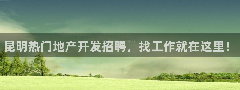 永利置业
