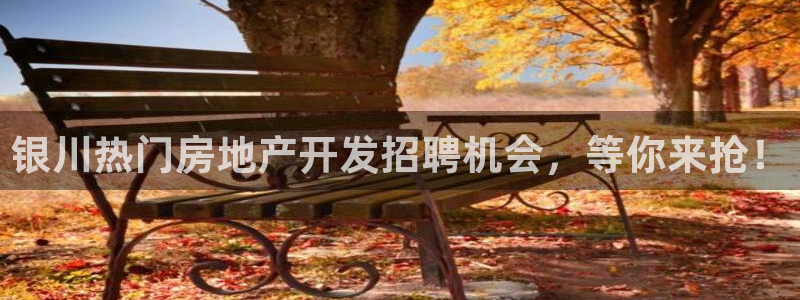永利房地产开发有限公司总经理