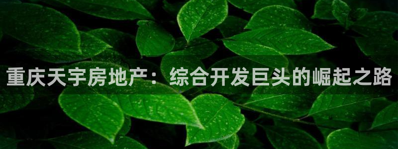 永利输的钱可以弄回来吗现在