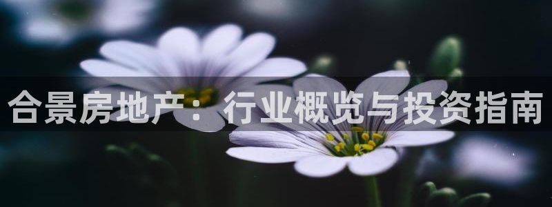 永利官方网招聘最新消息查询