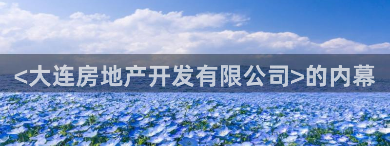 永利皮具lv工厂