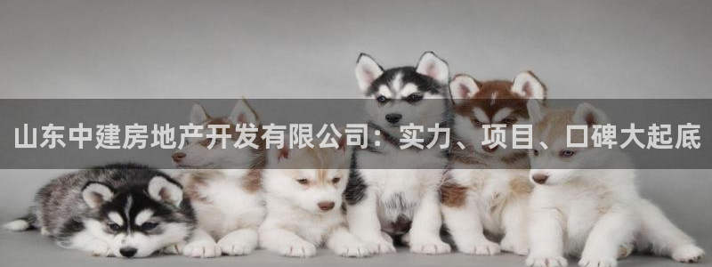 永利优惠大厅