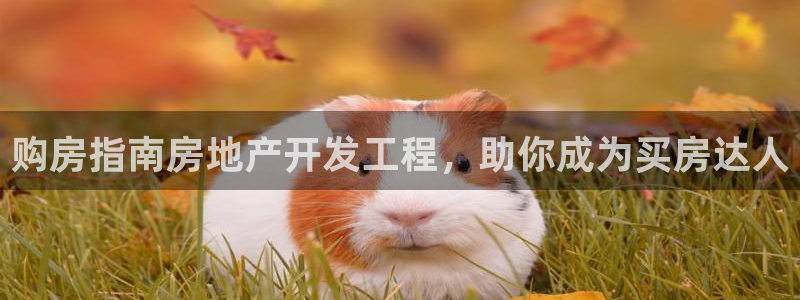 永利股份300230