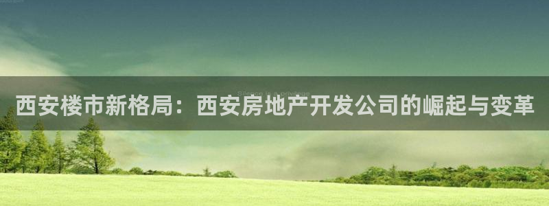 永利房地产开发有限公司总经理