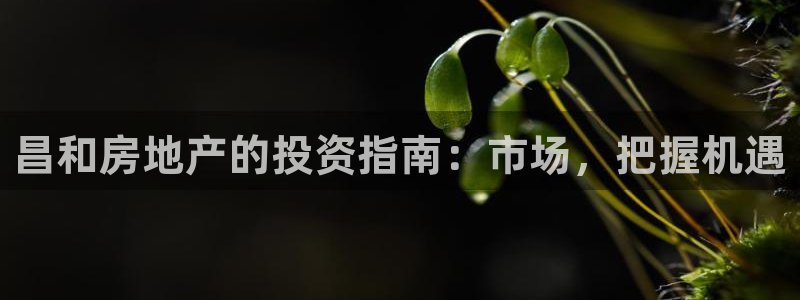 永利酒店老板是谁