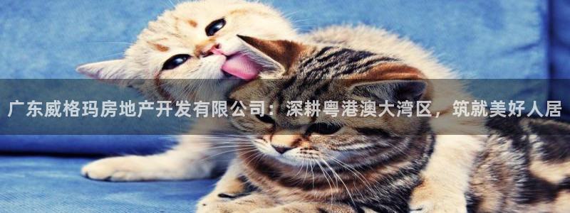 永利每月送30