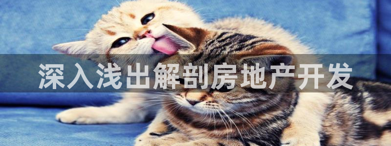 永利股份两大最新消息是什么