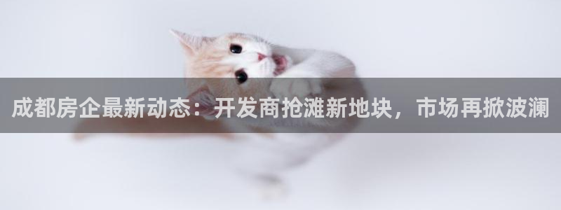 永利房地产有限公司
