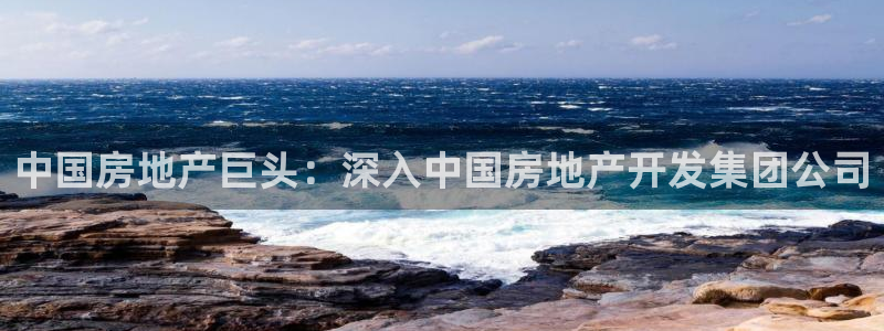 永利精工董事长