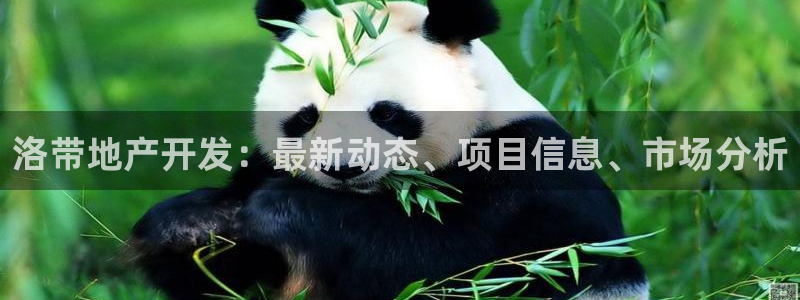 广州永利汇