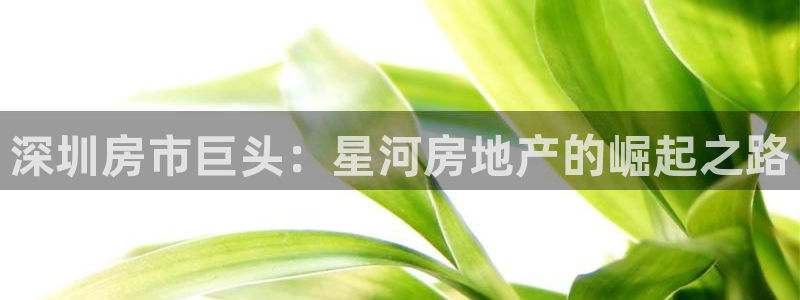 永利保险公司介绍