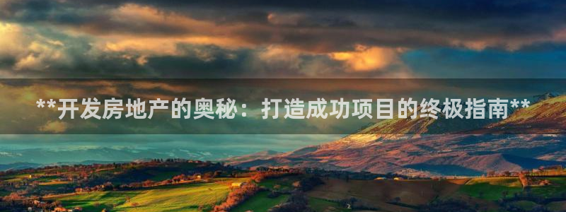 永利地产工程有限公司