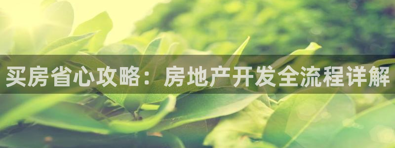 永利带业集团