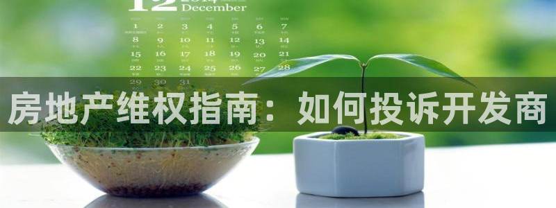 永利汇茶具怎么样
