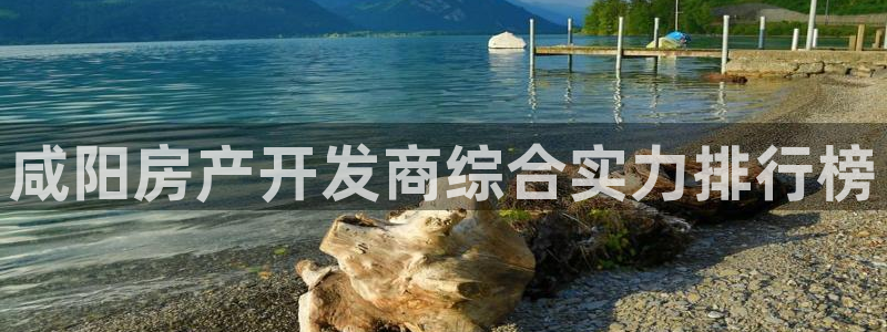 永利优惠大厅