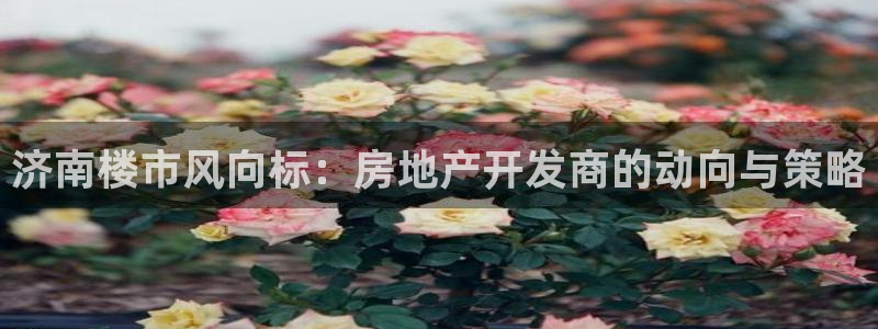 永利百货