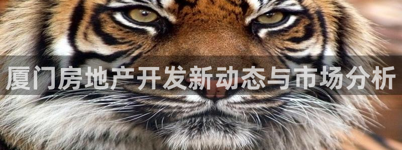 永利总裁