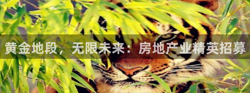佛山永利批发市场在哪里