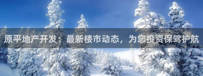 永利房地产有限公司