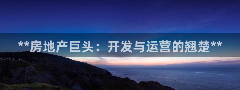 永利是啥意思