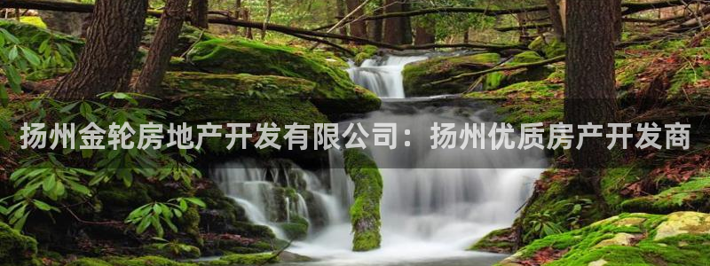 永利pc网址