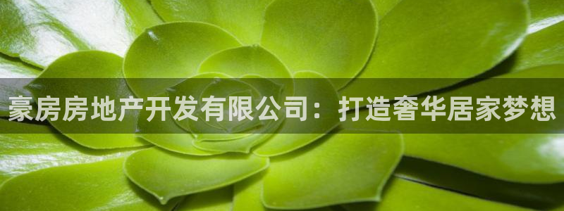 永利带业集团