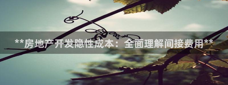 永利布业