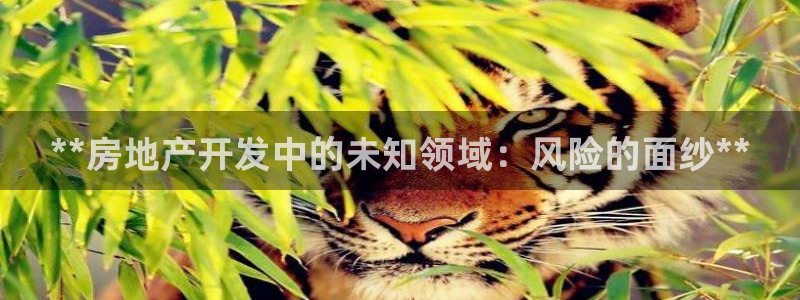 滨州永利盐业