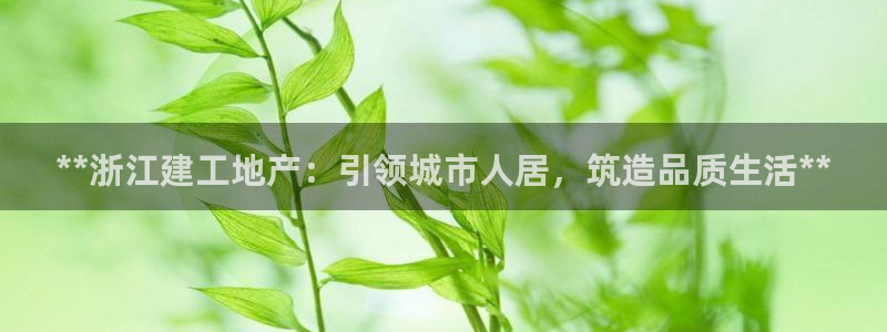 永利皮带型号说明