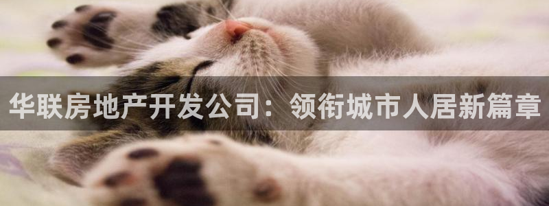 永利带业怎么样